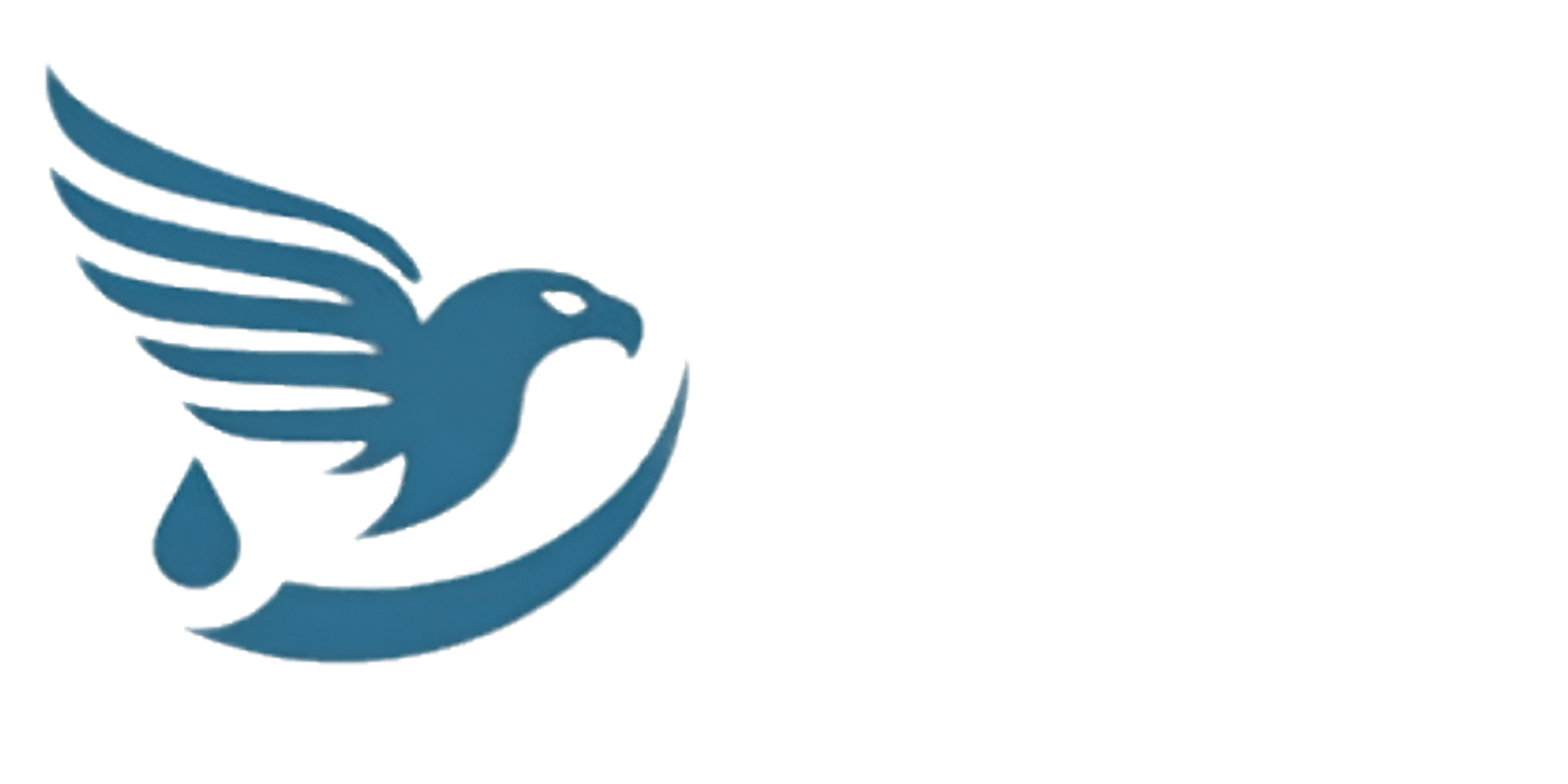 Изображение за Improve.bg — eagleflight (медия 16318)