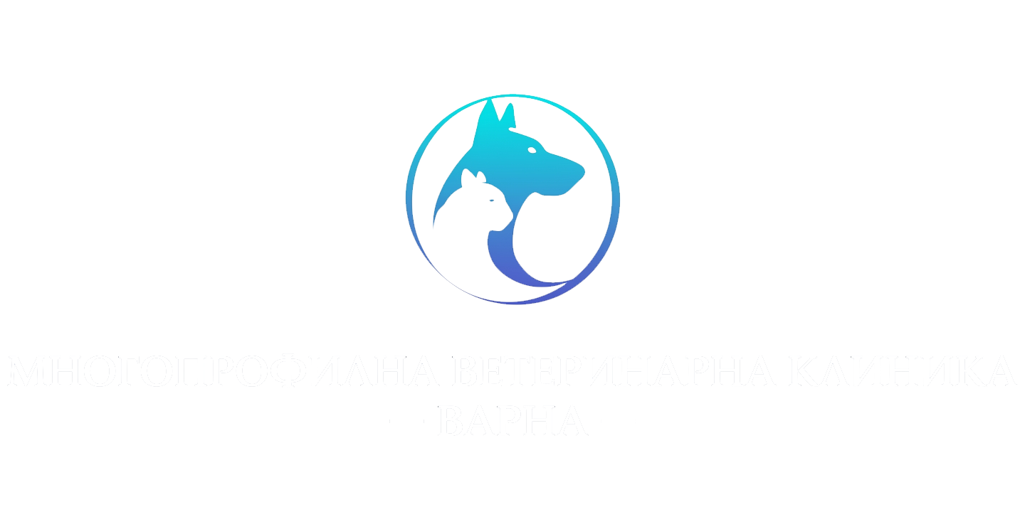 Изображение за Improve.bg — МВК (медия 16265)